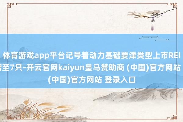 体育游戏app平台记号着动力基础要津类型上市REITs数目增至7只-开云官网kaiyun皇马赞助商 (中国)官方网站 登录入口