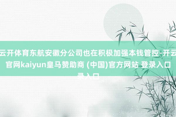 云开体育东航安徽分公司也在积极加强本钱管控-开云官网kaiyun皇马赞助商 (中国)官方网站 登录入口