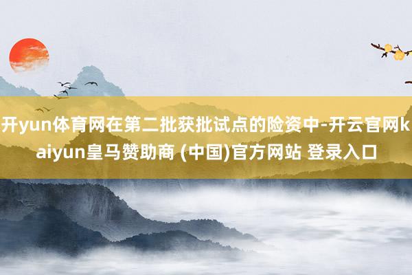 开yun体育网在第二批获批试点的险资中-开云官网kaiyun皇马赞助商 (中国)官方网站 登录入口