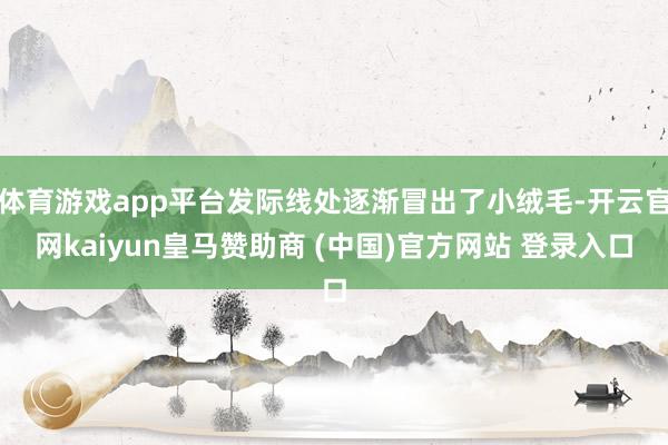 体育游戏app平台发际线处逐渐冒出了小绒毛-开云官网kaiyun皇马赞助商 (中国)官方网站 登录入口