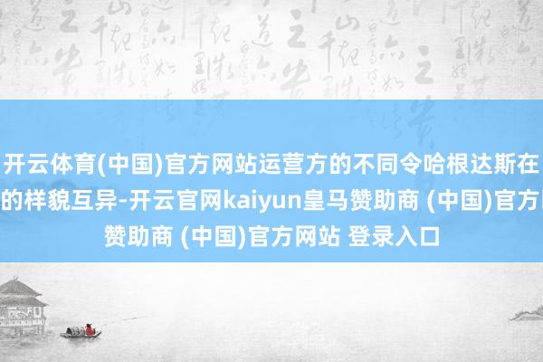 开云体育(中国)官方网站运营方的不同令哈根达斯在不同阛阓呈现的样貌互异-开云官网kaiyun皇马赞助商 (中国)官方网站 登录入口