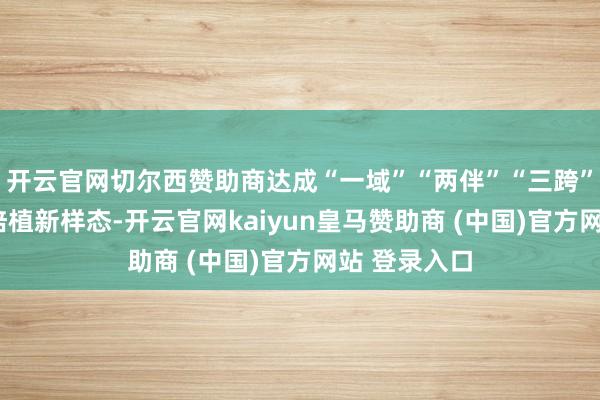 开云官网切尔西赞助商达成“一域”“两伴”“三跨”“四同”的培植新样态-开云官网kaiyun皇马赞助商 (中国)官方网站 登录入口