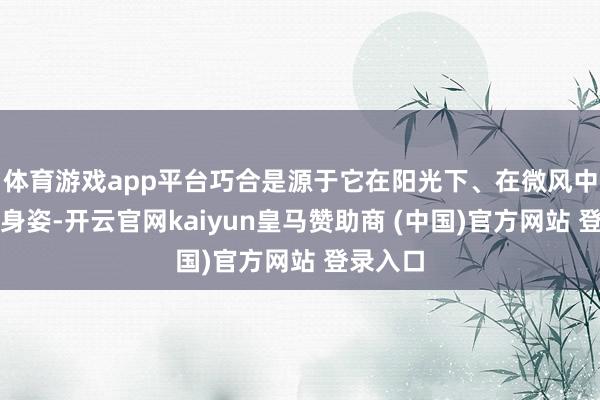 体育游戏app平台巧合是源于它在阳光下、在微风中茂密的身姿-开云官网kaiyun皇马赞助商 (中国)官方网站 登录入口