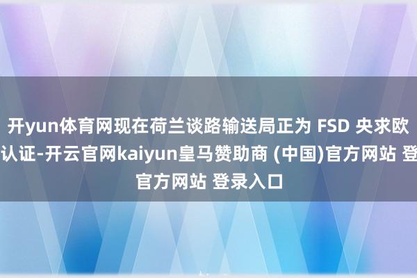 开yun体育网现在荷兰谈路输送局正为 FSD 央求欧盟合座认证-开云官网kaiyun皇马赞助商 (中国)官方网站 登录入口